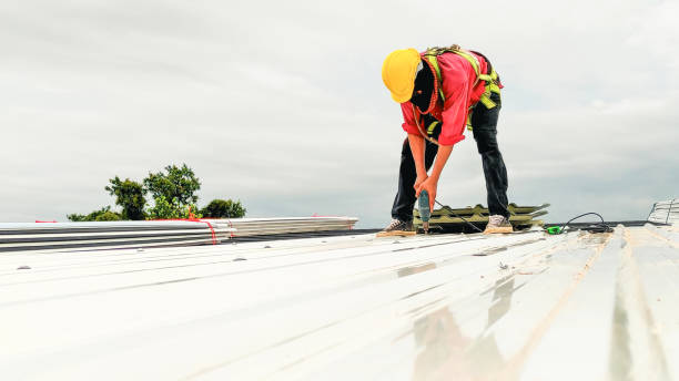 Best Solar Panel Roofing Installation  in Chilton, WI